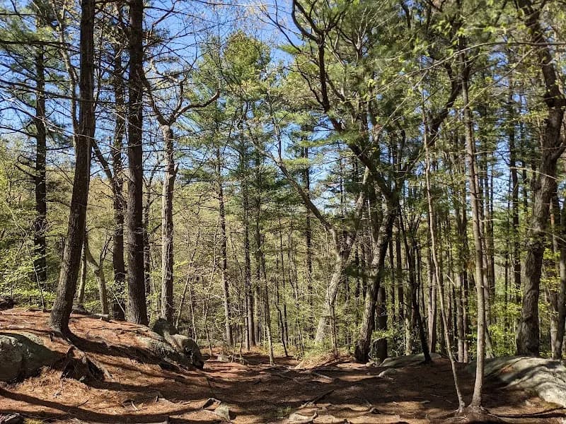 View of Wilson Mountain Reservation in Dedham, MA