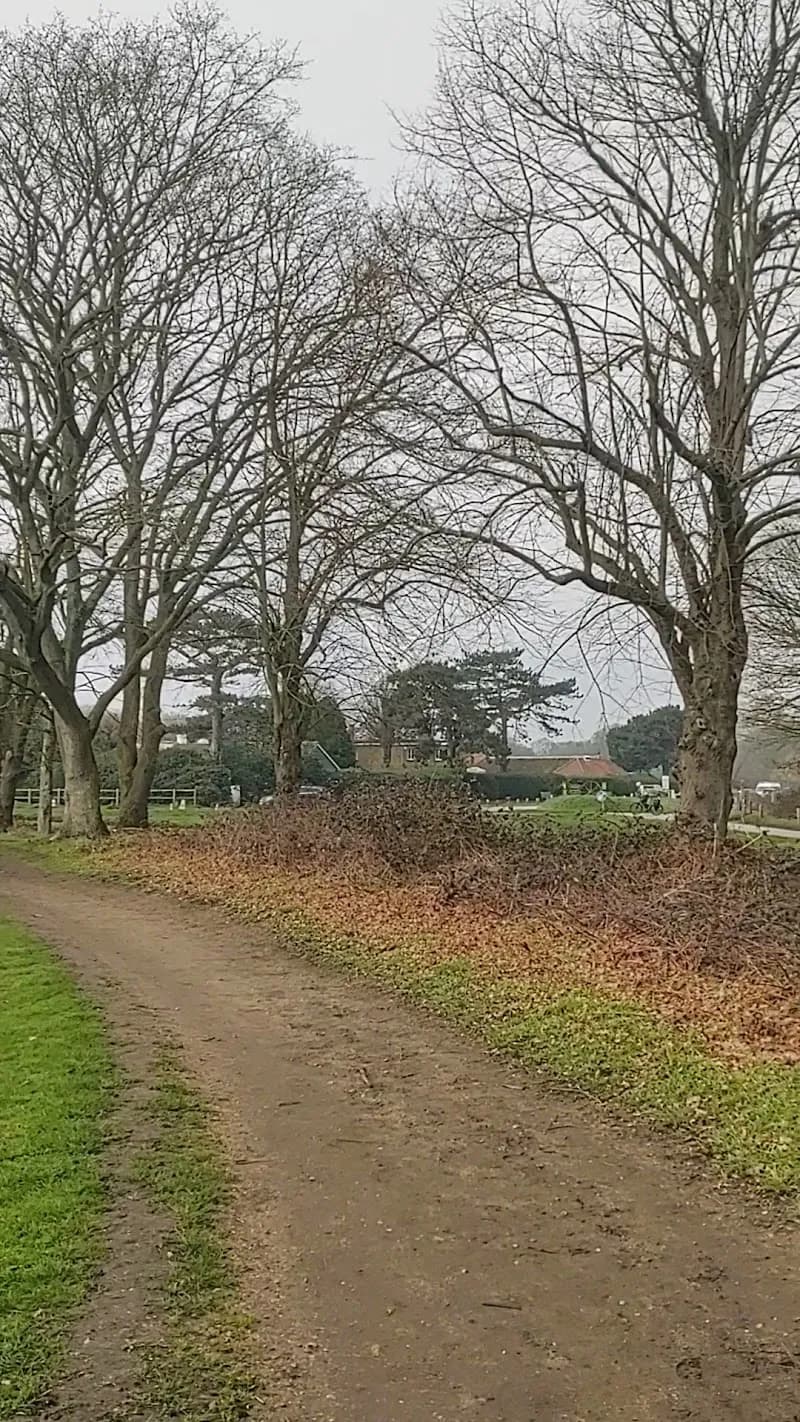 View of Wimbledon and Putney Commons in Wimbledon, London