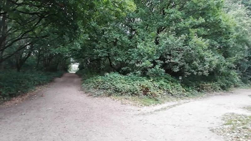View of Wimbledon and Putney Commons in Wimbledon, London