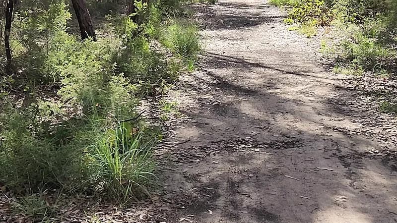 View of Windsor Downs Nature Reserve in Windsor, NSW