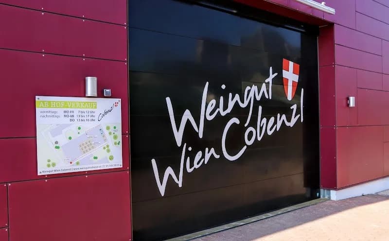View of Winery-Themed Playgrounds at Vineyards in Klosterneuburg, VIE