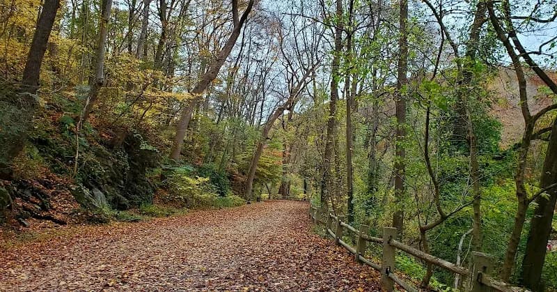 View of Wissahickon Valley Park in Chestnut Hill, PA