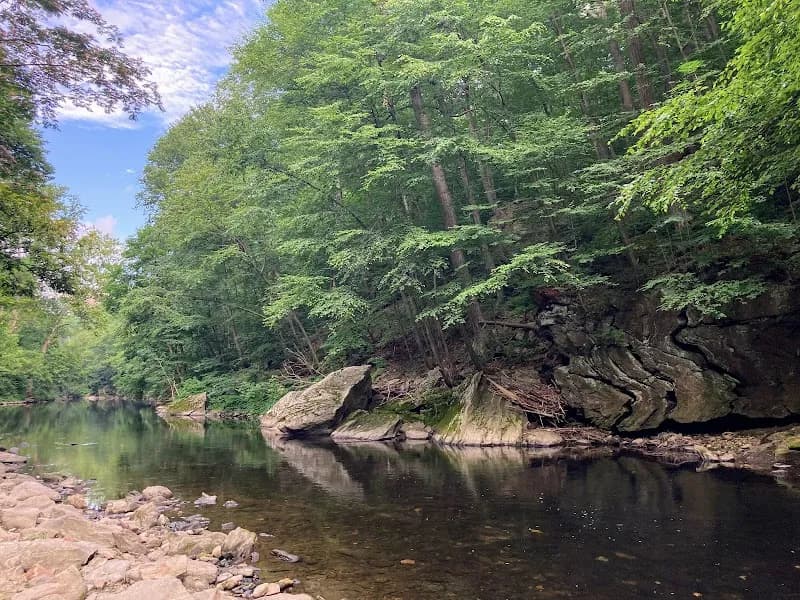 View of Wissahickon Valley Park in Chestnut Hill, PA
