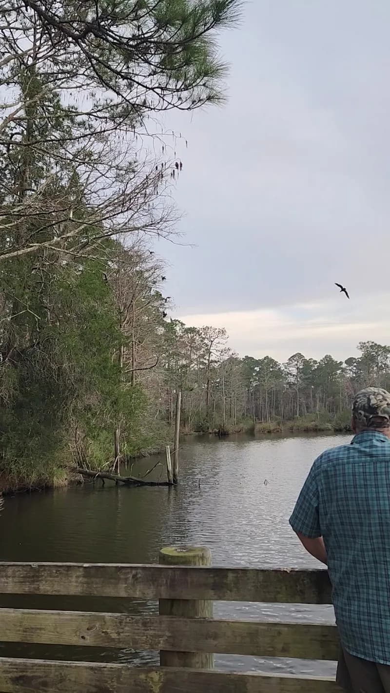 View of Wolf Creek Park in Elberta, AL