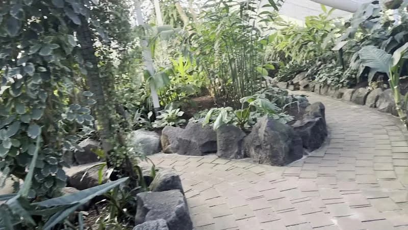 View of Wollongong Botanic Garden in Wollongong, NSW