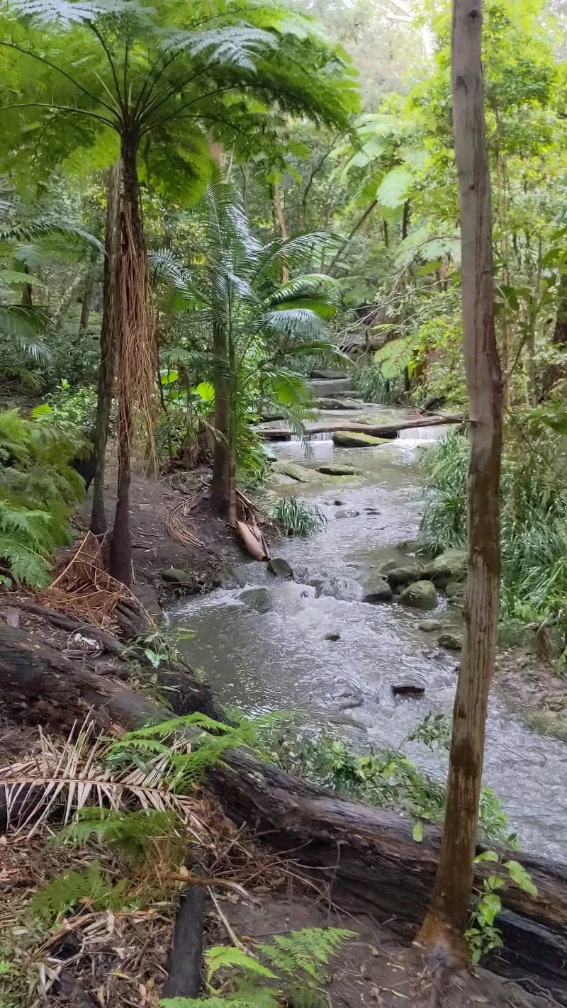 View of Wollstonecraft Station Park in Wollstonecraft, NSW