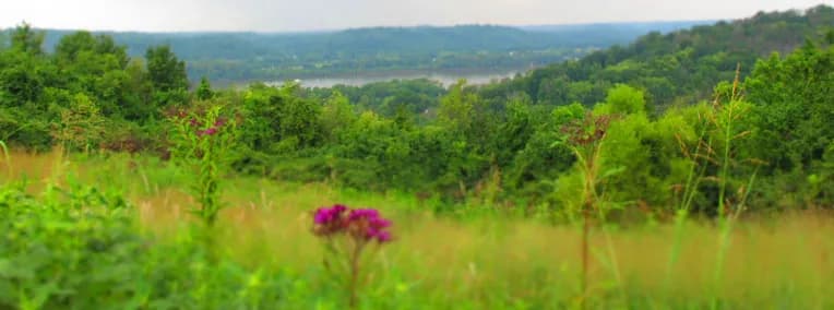 Woodland Mound park in East Nashville, TN