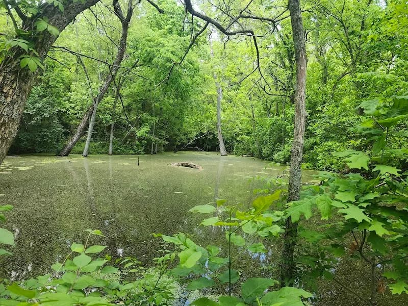 View of Woodland Mound in Oakley, OH