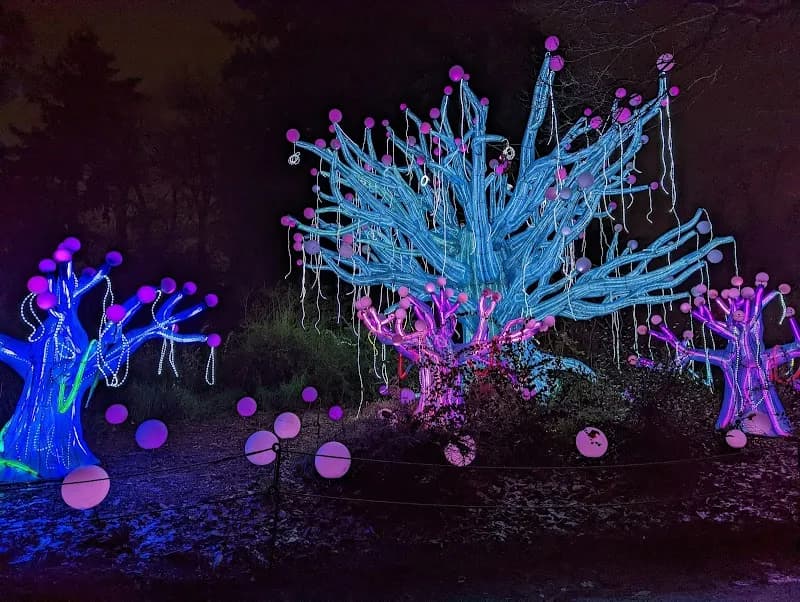 View of Woodland Park in Fremont, WA