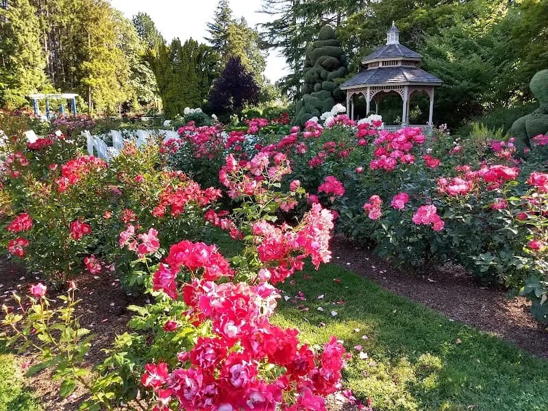View of Woodland Park Rose Garden in Ballard, WA