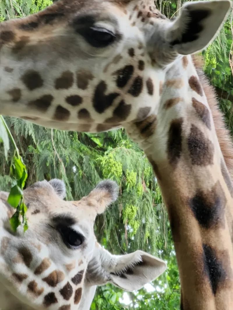 View of Woodland Park Zoo in Seattle, WA