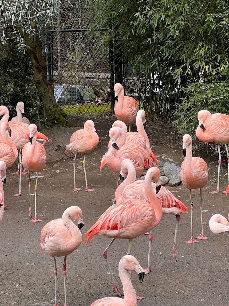 View of Woodland Park Zoo in Seattle, WA