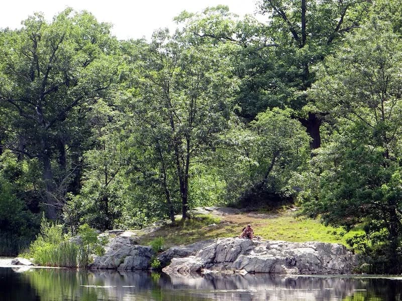 View of Wright's Pond in Medford, MA