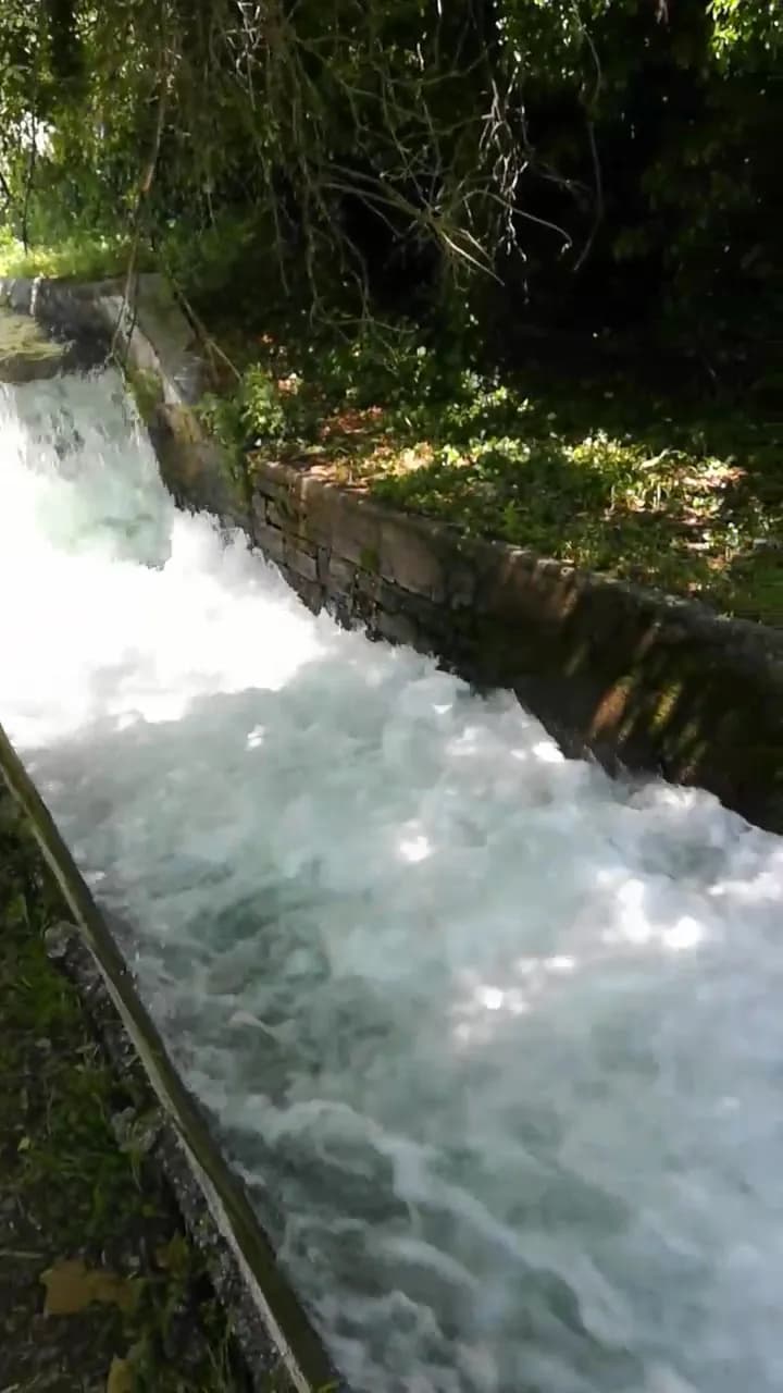 View of WWF Vanzago Bosco in Arese, Lombardy