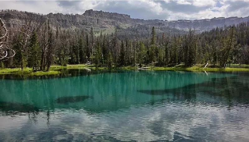 View of Wyoming Summer Pack Trips in Cody, WY