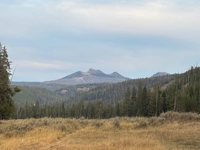 View of Wyoming Summer Pack Trips in Cody, WY