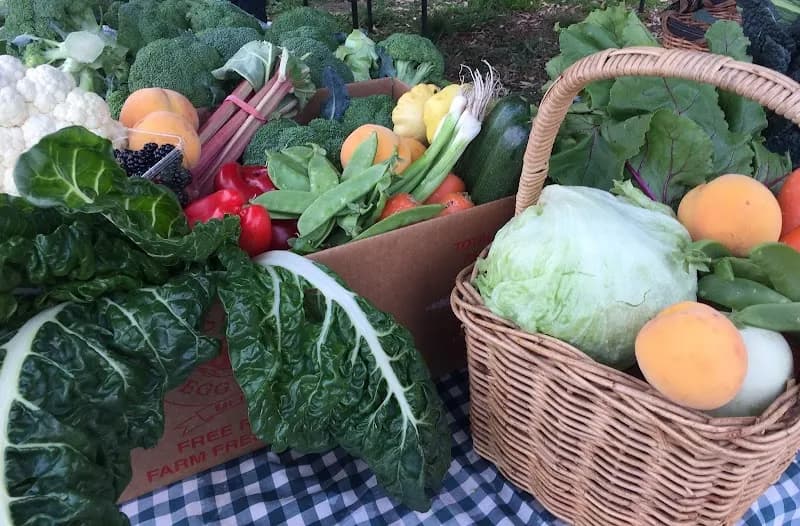 View of Yarraville Village Farmers Market in Yarraville, VIC