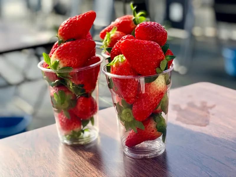 View of Yawata Ice Cream House in Yawata, KYO