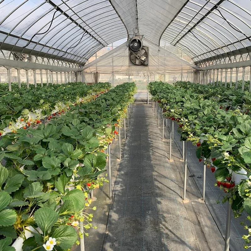 View of Yawata Ice Cream House in Yawata, KYO