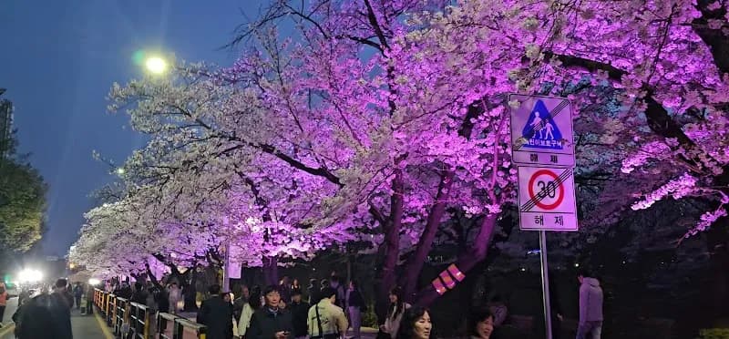View of Yeouido Hangang Park in Seoul, SEL