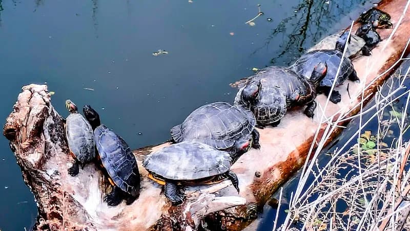 View of Yodogawa Riverside National Park Kema Area in Yao, Osaka