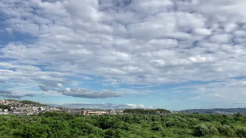 View of Yodogawa Riverside Park - Shimamoto Area in Shimamoto, Osaka
