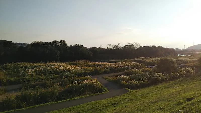 View of Yodogawa Riverside Park - Shimamoto Area in Shimamoto, Osaka