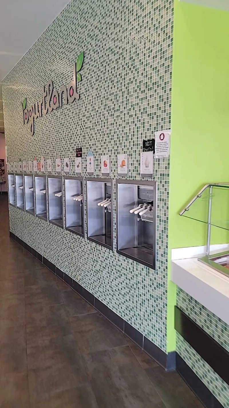 View of Yogurtland in Cypress, TX