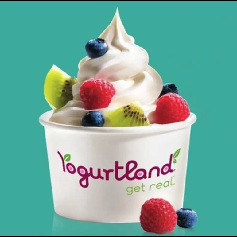 View of Yogurtland in Cypress, TX
