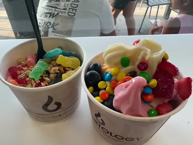 View of Yogurtology FishHawk in Fishhawk, FL