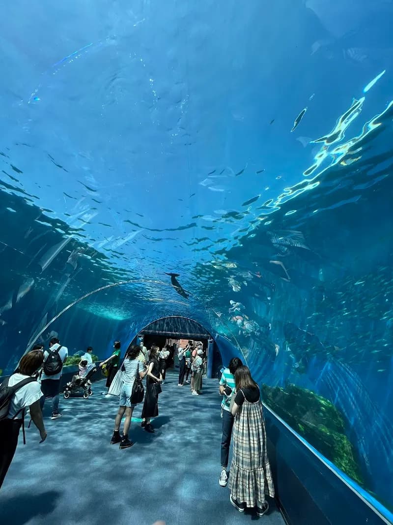 Yokohama Aquarium aquarium in Yokohama, YH