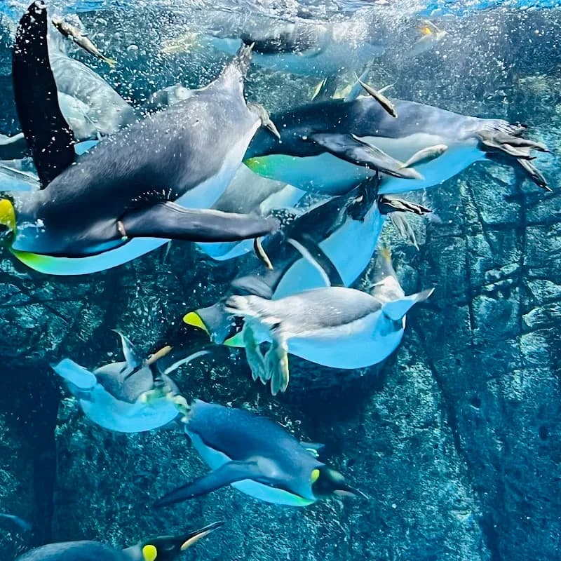 View of Yokohama Aquarium in Yokohama, YH