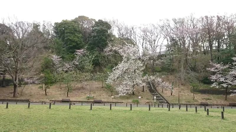 View of Yokohama Children’s Recreation Park in Sakado, Saitama