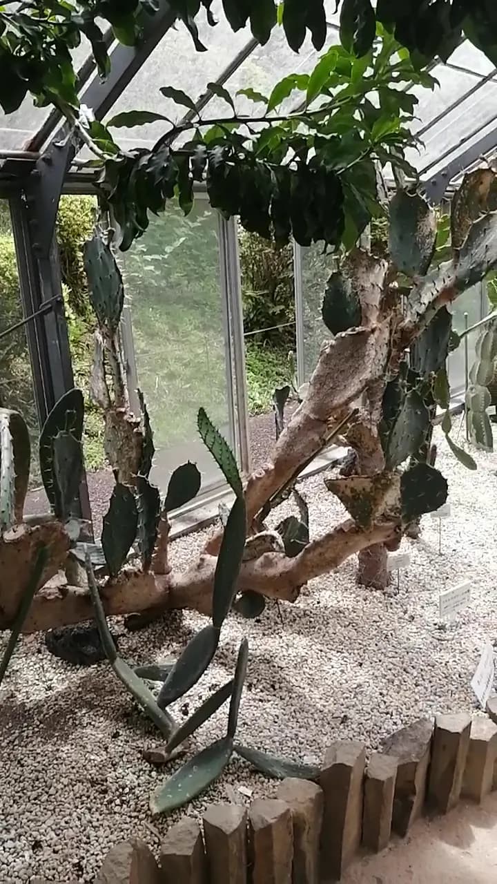 View of Yokohama City Children's Botanical Garden in Isogo, Kanagawa