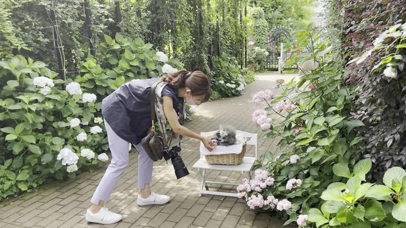 View of Yokohama English Garden in Nishi, Kanagawa