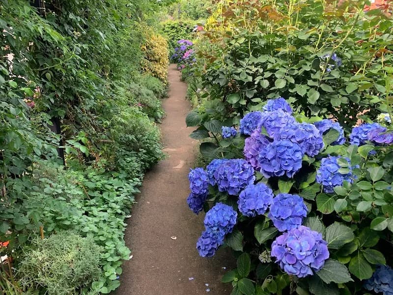 View of Yokohama English Garden in Nishi, Kanagawa