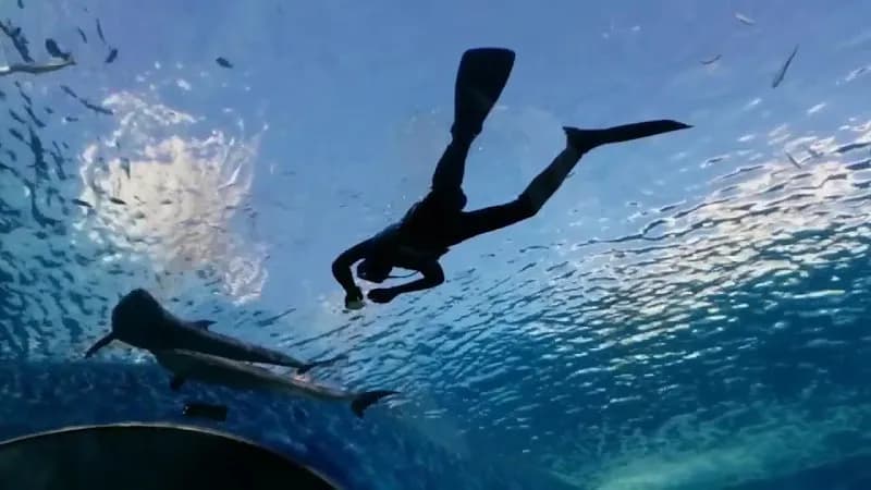 View of Yokohama Hakkeijima Sea Paradise in Yokohama, YH