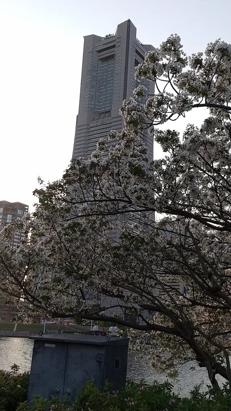 View of Yokohama Landmark Tower in Yokohama, YH