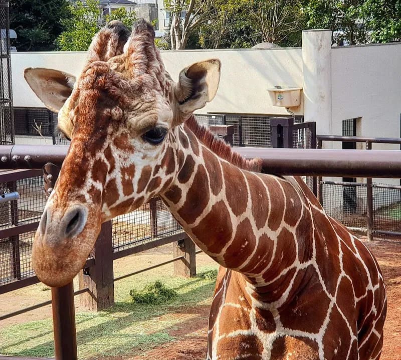 View of Yokohama Zoo (Oji Zoo) in Yokohama, YH