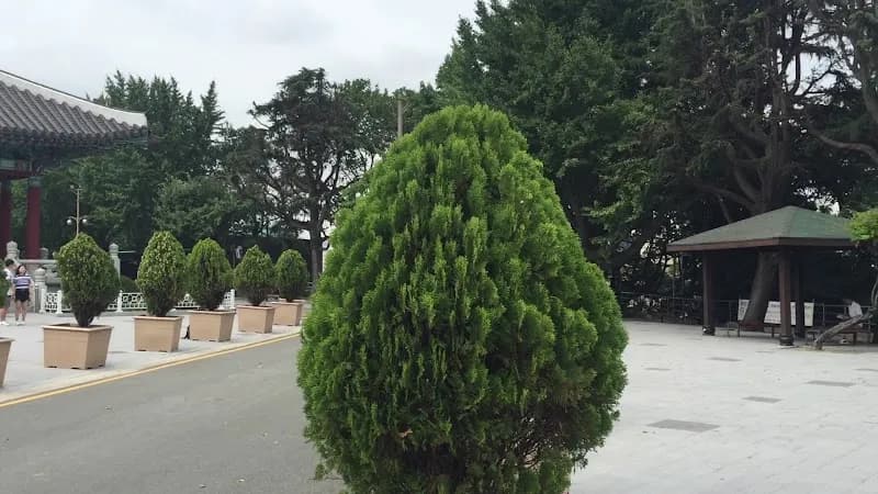 View of Yongdusan Park in Busan, BSN