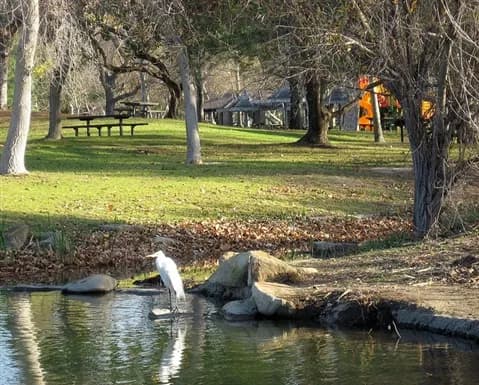 View of Yorba Regional Park in Anaheim, CA