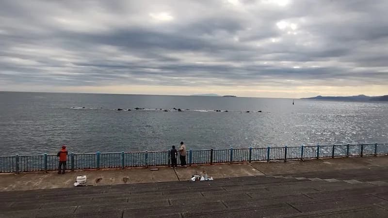 View of Yugawara Seaside Park in Yugawara, Kanagawa