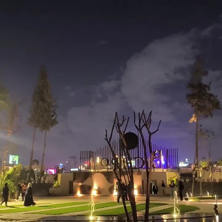 View of Zamalek Island Parks in Cairo, CAI