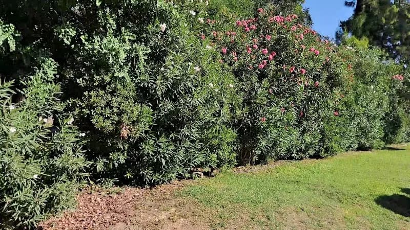 View of Zappeion Garden in Athens, ATT