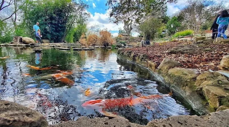 View of Zilker Botanical Garden in Austin, TX