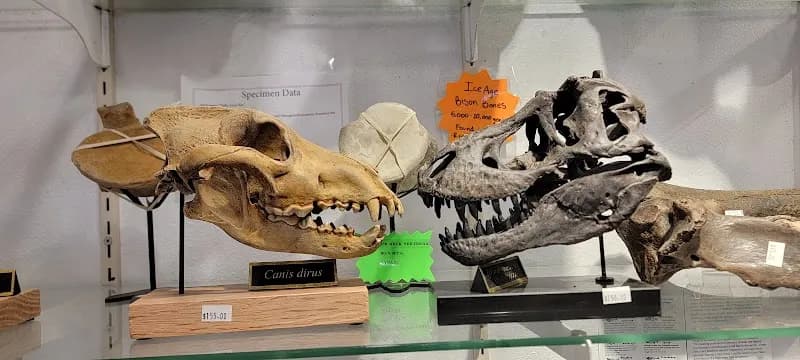 View of Zion Rock & Gem in Springdale, UT