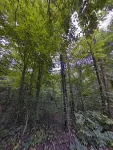 Zionsville Rail Trail route in Zionsville, IN