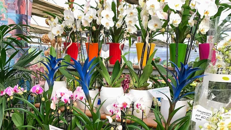 View of Zona Verde Arroyo Torote in San Fernando de Henares, Madrid