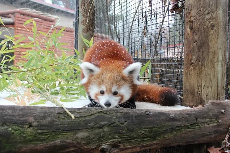 Zoo Boise zoo in Boise, ID