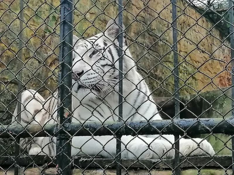 View of Zoo Santa Fe in Bogota, BOG